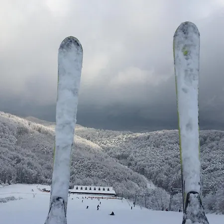 Solnce Karpat Feriehus *
