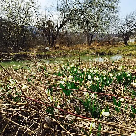 Solnce Karpat Feriehus Polyana (Transcarpathia)