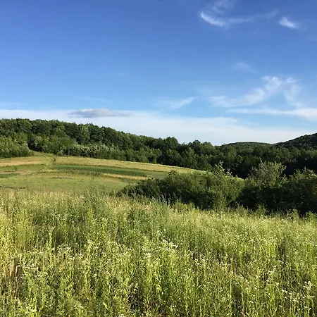 Feriehus Solnce Karpat Polyana (Transcarpathia)