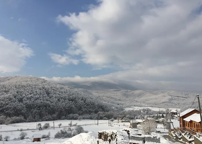 Solnce Karpat Сasa de vacaciones Polyana (Transcarpathia)