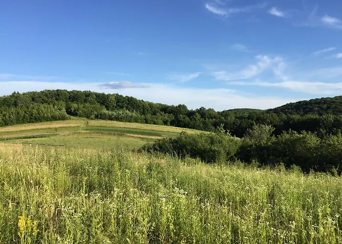 Сasa de vacaciones Solnce Karpat Polyana (Transcarpathia)